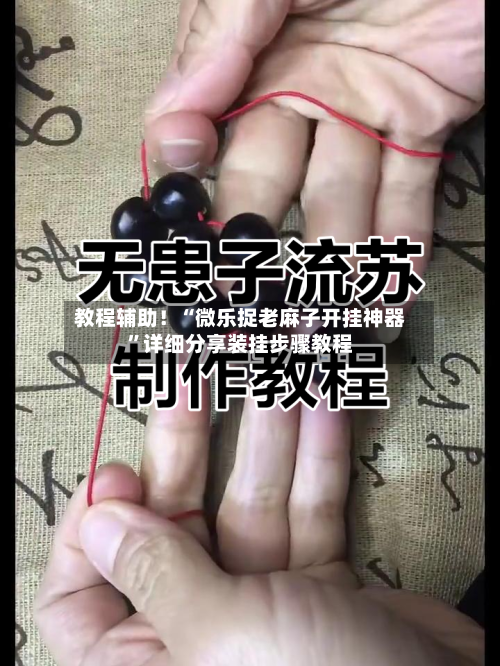 教程辅助！“微乐捉老麻子开挂神器”详细分享装挂步骤教程-第3张图片