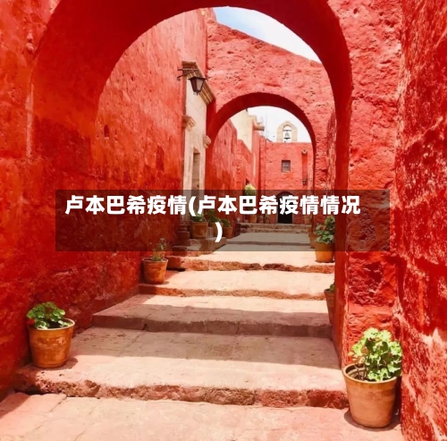 卢本巴希疫情(卢本巴希疫情情况)