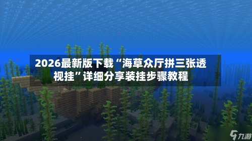 2026最新版下载“海草众厅拼三张透视挂”详细分享装挂步骤教程-第2张图片