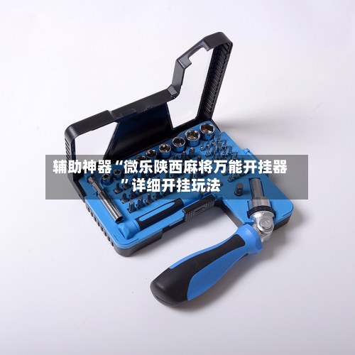 辅助神器“微乐陕西麻将万能开挂器	”详细开挂玩法-第1张图片