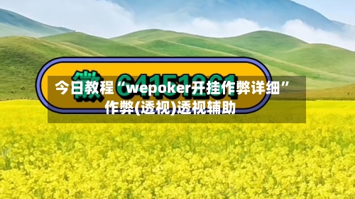 今日教程“wepoker开挂作弊详细”作弊(透视)透视辅助