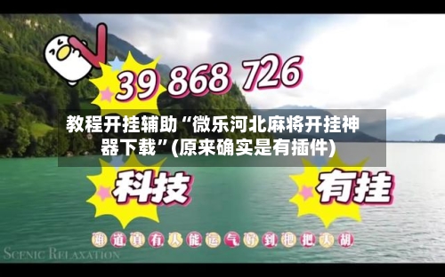 教程开挂辅助“微乐河北麻将开挂神器下载”(原来确实是有插件)