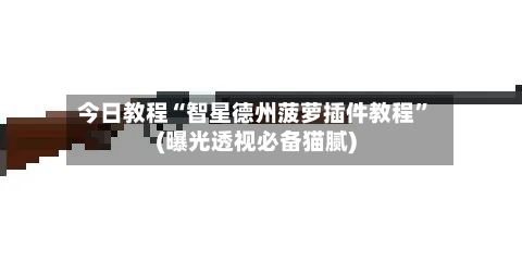 今日教程“智星德州菠萝插件教程”(曝光透视必备猫腻)