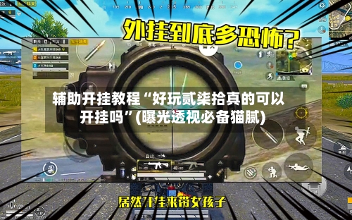 辅助开挂教程“好玩贰柒拾真的可以开挂吗”(曝光透视必备猫腻)-第3张图片