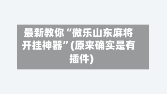 最新教你“微乐山东麻将开挂神器”(原来确实是有插件)-第2张图片