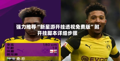 强力推荐“新星游开挂透视免费版”附开挂脚本详细步骤