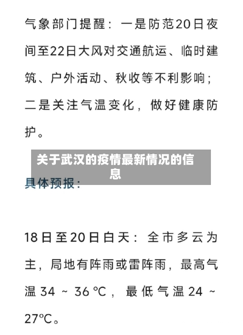 关于武汉的疫情最新情况的信息-第2张图片