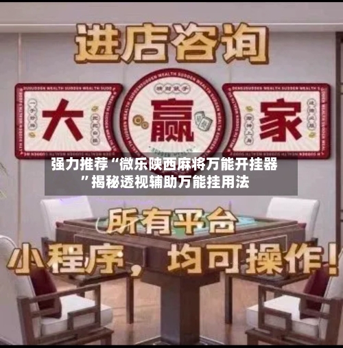 强力推荐“微乐陕西麻将万能开挂器	”揭秘透视辅助万能挂用法-第2张图片