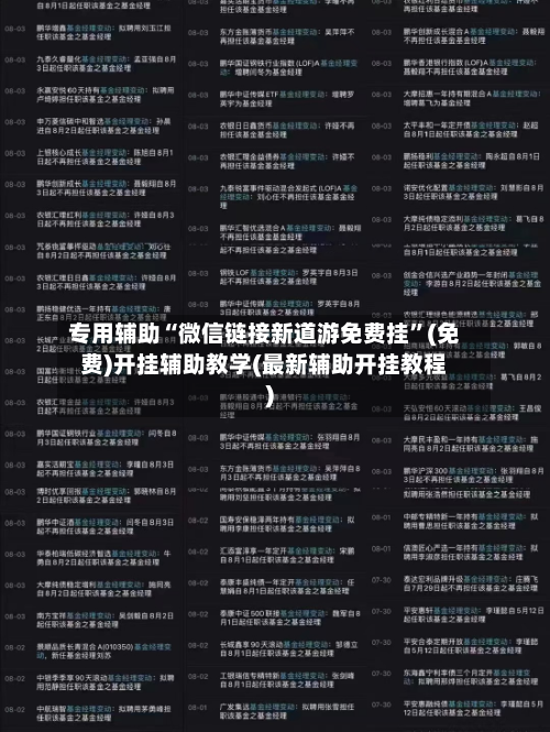 专用辅助“微信链接新道游免费挂	”(免费)开挂辅助教学(最新辅助开挂教程)-第2张图片