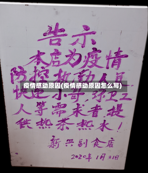 疫情感动原因(疫情感动原因怎么写)-第2张图片