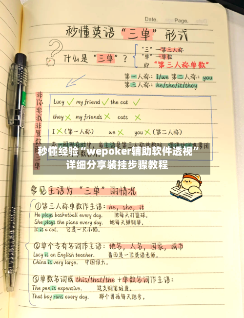 秒懂经验“wepoker辅助软件透视”详细分享装挂步骤教程-第1张图片