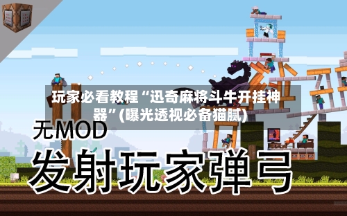 玩家必看教程“迅奇麻将斗牛开挂神器”(曝光透视必备猫腻)-第2张图片