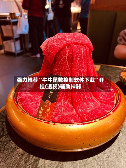 强力推荐“牛牛尾数控制软件下载”开挂(透视)辅助神器-第3张图片