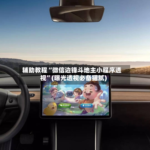 辅助教程“微信边锋斗地主小程序透视”(曝光透视必备猫腻)-第2张图片