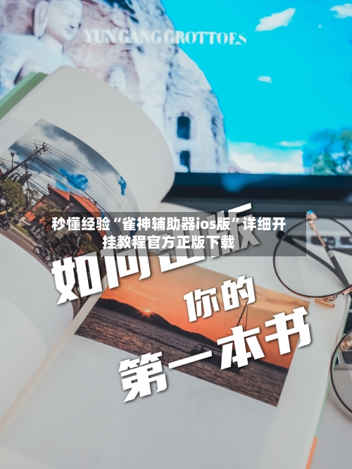 秒懂经验“雀神辅助器ios版	”详细开挂教程官方正版下载-第2张图片
