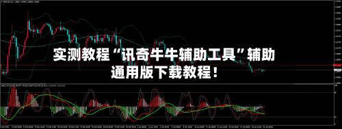 实测教程“讯奇牛牛辅助工具”辅助通用版下载教程！-第3张图片