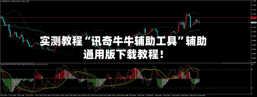 实测教程“讯奇牛牛辅助工具”辅助通用版下载教程！-第2张图片