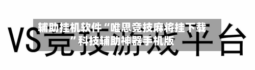 辅助挂机软件“唯思竞技麻将挂下载”科技辅助神器手机版-第2张图片