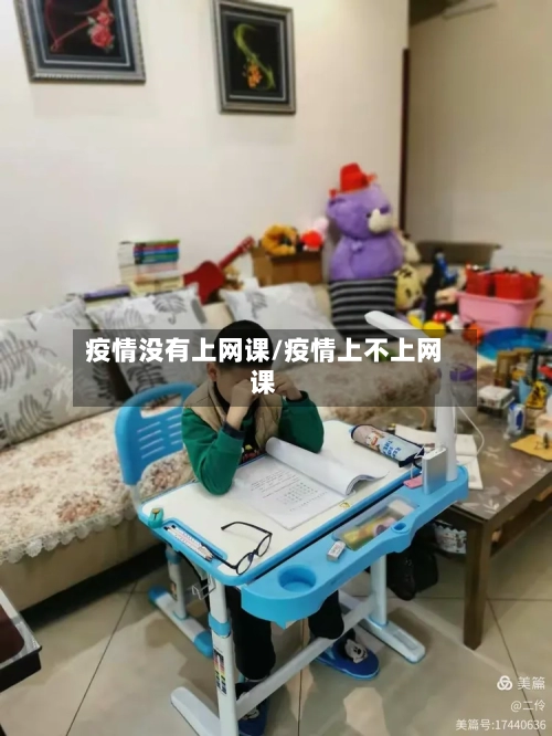 疫情没有上网课/疫情上不上网课-第2张图片