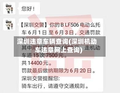 深圳违章车辆查询(深圳机动车违章网上查询)-第2张图片