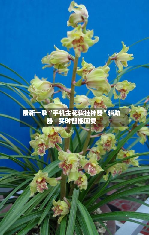 最新一款“手机金花软挂神器”辅助器 - 实时智能回复-第2张图片