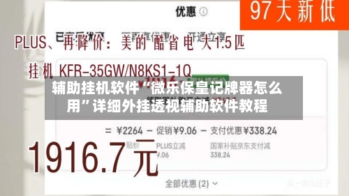 辅助挂机软件“微乐保皇记牌器怎么用”详细外挂透视辅助软件教程-第3张图片