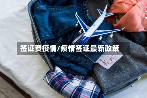 签证费疫情/疫情签证最新政策-第2张图片