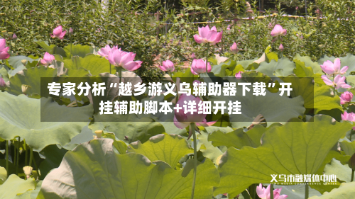 专家分析“越乡游义乌辅助器下载”开挂辅助脚本+详细开挂-第2张图片