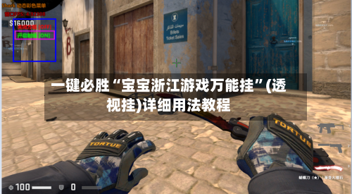 一键必胜“宝宝浙江游戏万能挂	”(透视挂)详细用法教程-第3张图片