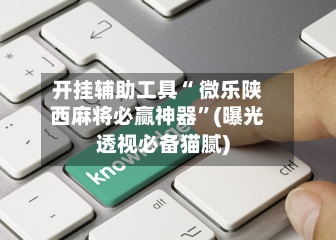 开挂辅助工具“ 微乐陕西麻将必赢神器”(曝光透视必备猫腻)-第3张图片