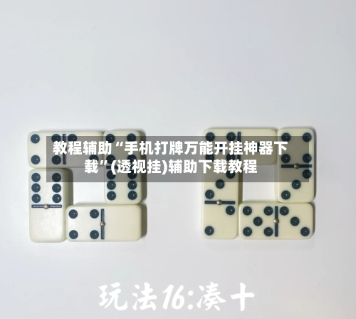 教程辅助“手机打牌万能开挂神器下载	”(透视挂)辅助下载教程-第2张图片