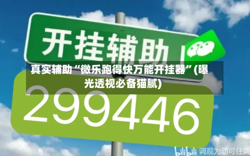 真实辅助“微乐跑得快万能开挂器”(曝光透视必备猫腻)-第3张图片