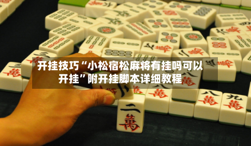 开挂技巧“小松宿松麻将有挂吗可以开挂”附开挂脚本详细教程-第2张图片