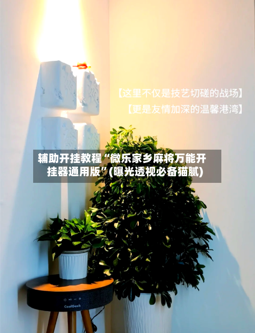 辅助开挂教程“微乐家乡麻将万能开挂器通用版	”(曝光透视必备猫腻)-第2张图片