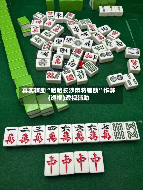 真实辅助“哈哈长沙麻将辅助”作弊(透视)透视辅助-第2张图片
