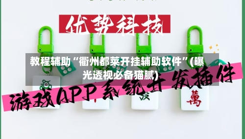 教程辅助“衢州都莱开挂辅助软件	”(曝光透视必备猫腻)-第2张图片