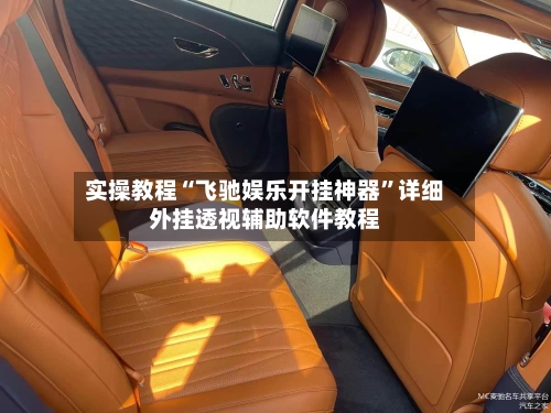 实操教程“飞驰娱乐开挂神器	”详细外挂透视辅助软件教程-第2张图片