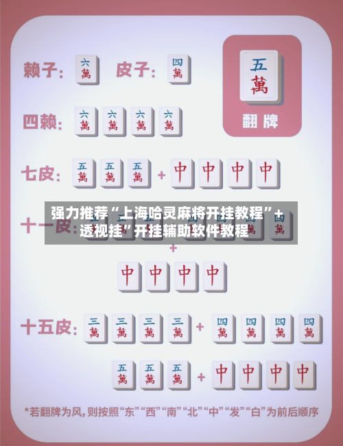 强力推荐“上海哈灵麻将开挂教程”+透视挂”开挂辅助软件教程-第2张图片