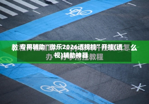 专用辅助“微乐2026透视挂	”开挂(透视)辅助神器-第3张图片