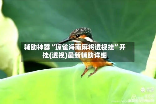 辅助神器“琼雀海南麻将透视挂”开挂(透视)最新辅助详细-第3张图片