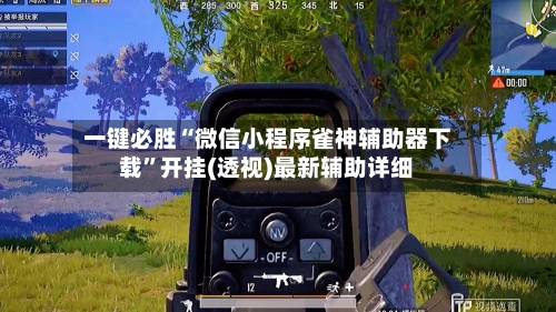 一键必胜“微信小程序雀神辅助器下载”开挂(透视)最新辅助详细-第2张图片