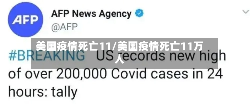 美国疫情死亡11/美国疫情死亡11万人