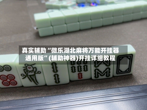 真实辅助“微乐湖北麻将万能开挂器通用版”(辅助神器)开挂详细教程