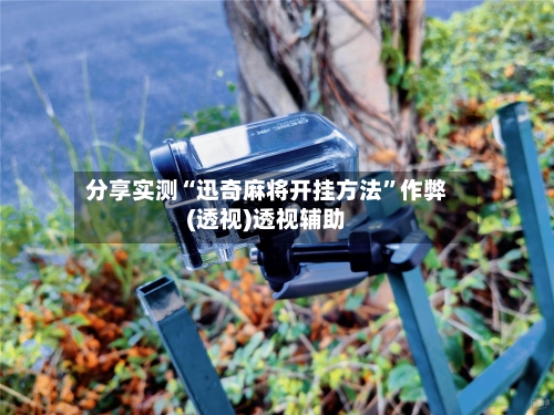 分享实测“迅奇麻将开挂方法”作弊(透视)透视辅助-第3张图片