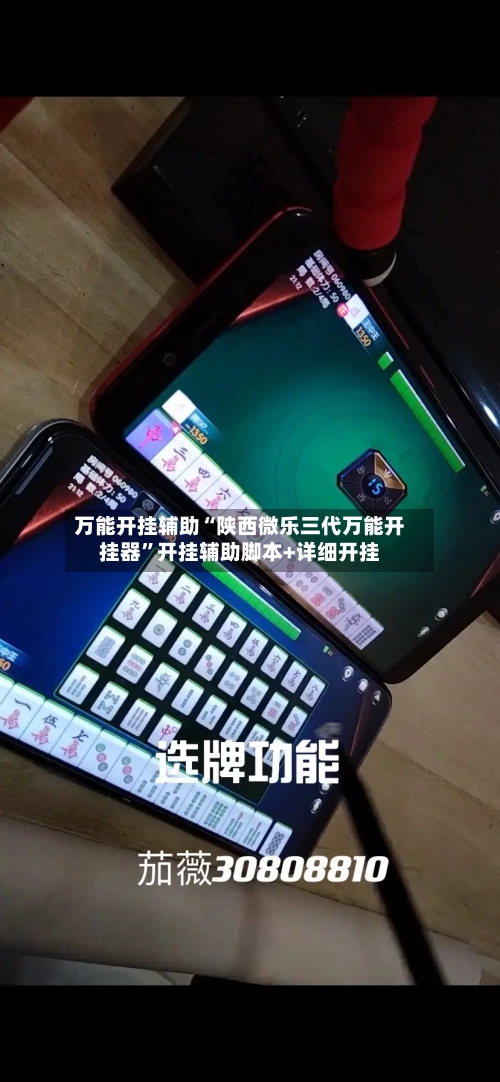 万能开挂辅助“陕西微乐三代万能开挂器	”开挂辅助脚本+详细开挂-第2张图片
