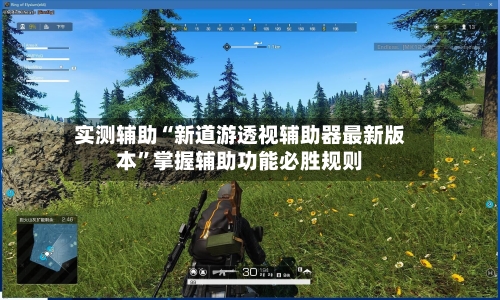 实测辅助“新道游透视辅助器最新版本”掌握辅助功能必胜规则-第2张图片