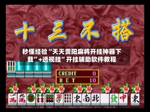 秒懂经验“天天贵阳麻将开挂神器下载”+透视挂”开挂辅助软件教程-第2张图片