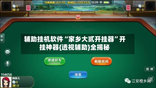 辅助挂机软件“家乡大贰开挂器”开挂神器{透视辅助}全揭秘-第2张图片