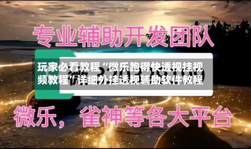 玩家必看教程“微乐跑得快透视挂视频教程”详细外挂透视辅助软件教程-第2张图片