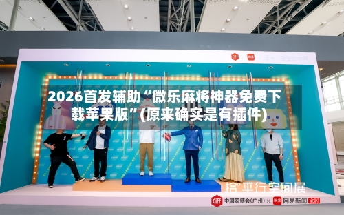 2026首发辅助“微乐麻将神器免费下载苹果版”(原来确实是有插件)-第2张图片